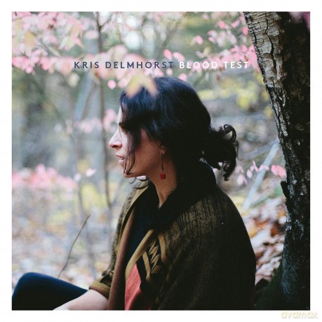 Kris Delmhorst: Kris Delmhorst - Blood Test [CD]
