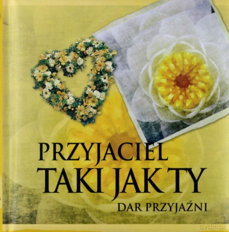 Przyjaciel Taki jak Ty [KSIĄŻKA]
