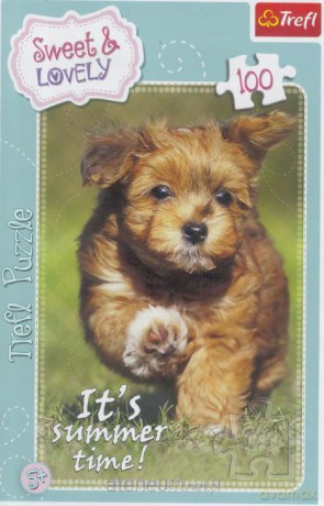 TREFL Puzzle 100 el. Zabawa latem [PUZZLE]