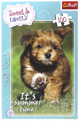 TREFL Puzzle 100 el. Zabawa latem [PUZZLE]