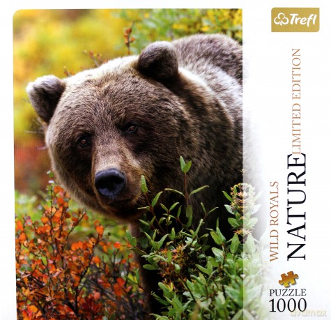 TREFL Puzzle 1000 el. Nature... - Grizzly [PUZZLE]