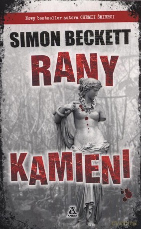 Rany kamieni [KSIĄŻKA]