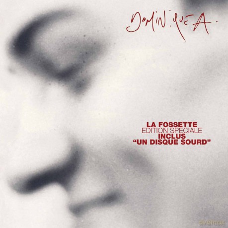 Dominique A: La fossette (2012) [2CD]