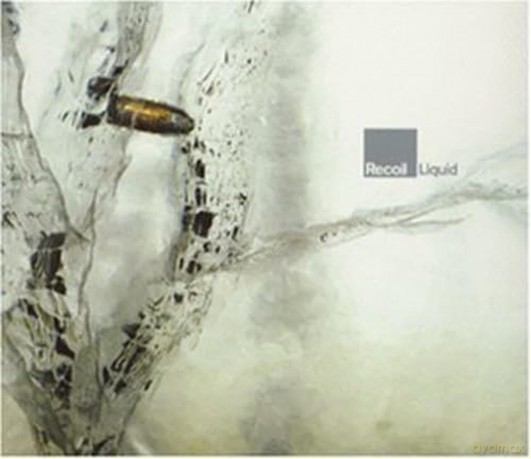 La Paloma 3-One Song For All Worlds [CD]