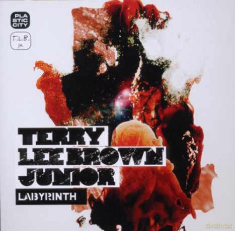 Terry Jr Lee Brown: Labyrinth [CD]