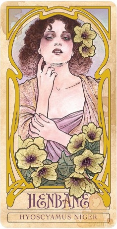 Lady Stirlings Wicked Garden Dec [KSIĄŻKA]