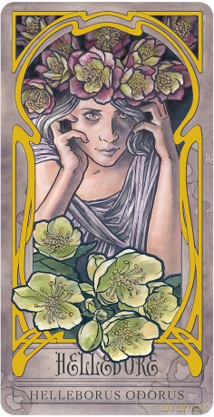 Lady Stirlings Wicked Garden Dec [KSIĄŻKA]