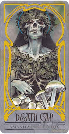 Lady Stirlings Wicked Garden Dec [KSIĄŻKA]