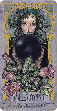 Lady Stirlings Wicked Garden Dec [KSIĄŻKA]