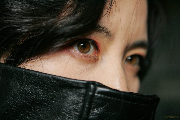 Lady Vengeance [DVD]