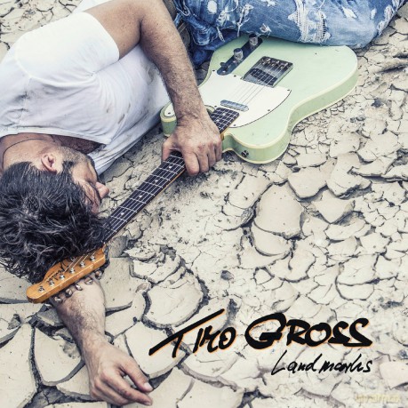 Gross,Timo: Landmarks [CD]
