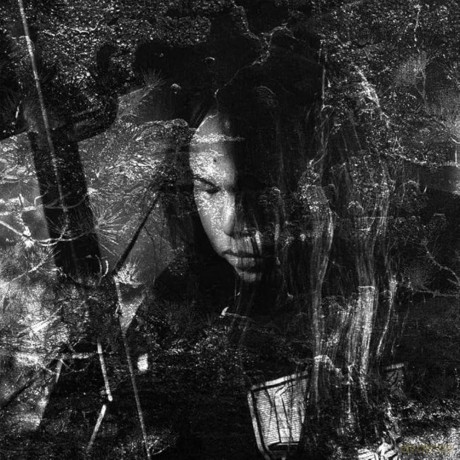 Thisquietarmy: Langue Hybride [CD]