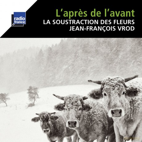 Jeanfrancois Vrod: Lapres De Lavant [CD]