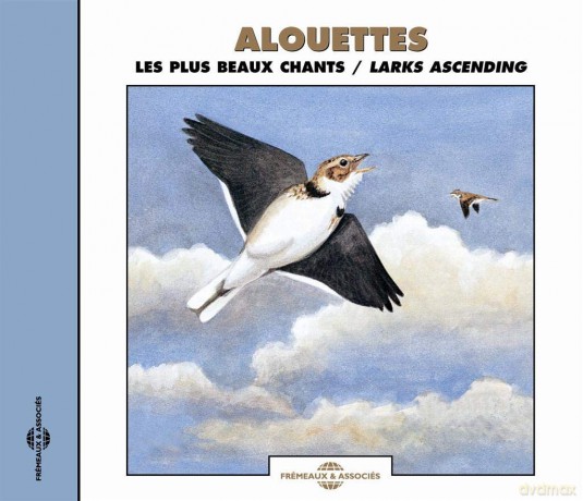 Sounds Of Nature: Larks Ascending [CD]