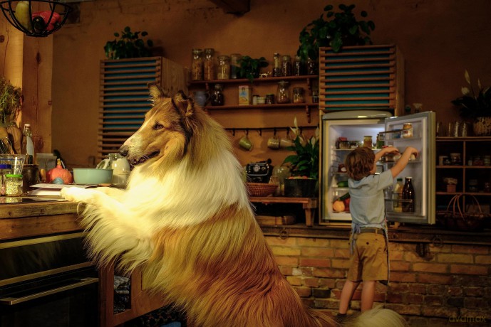Lassie - Ein Neues Abenteuer [DVD]