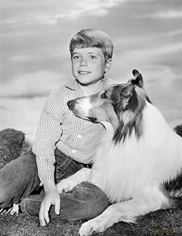 Lassie Verschwindet [DVD]