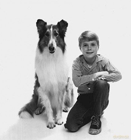 Lassie Verschwindet [DVD]