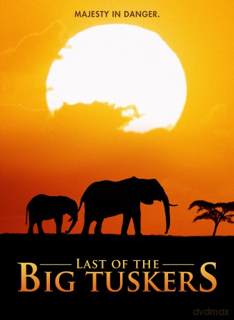 Last Of The Big Tuskers [DVD]