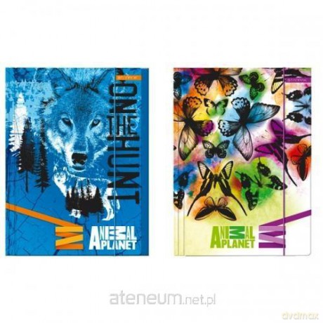 Teczka z gumką A4 Animal Planet