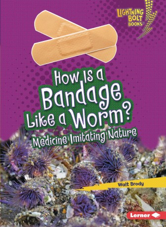 Lb How Is A Bandage Like A Worm [KSIĄŻKA]