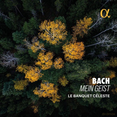 Le Banquet Céleste-Bach: Mein Geist: Le Banquet Céleste-Bach: Mein Geist [CD]