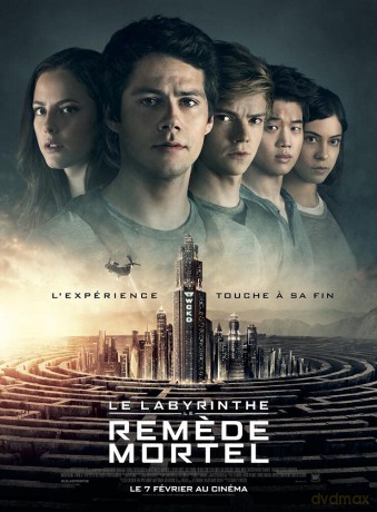 Le Labyrinthe 3 Remede Mortel [DVD]