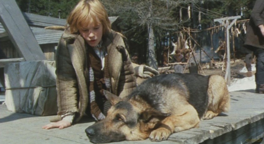Le Retour De Buck Le Loup [DVD]