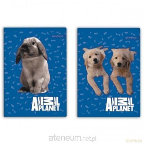 Zeszyt A5/16K kratka Animal Planet Cute 20 sztuk