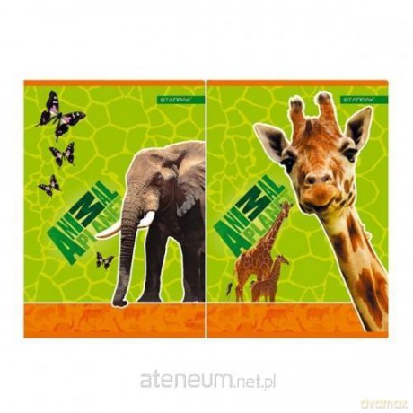 Zeszyt A5/32K kratka Animal Planet 10 sztuk
