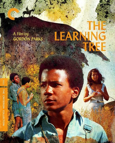 Learning Tree, The [2DVD]