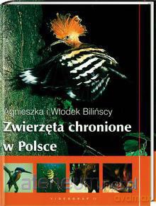 Zwierzęta chronione w Polsce [KSIĄŻKA]