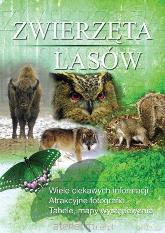 Zwierzęta lasów [KSIĄŻKA]