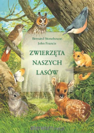 Zwierzęta naszych lasów [KSIĄŻKA]