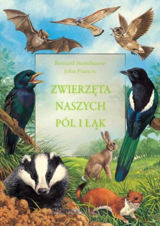 Zwierzęta naszych pól i łąk [KSIĄŻKA]