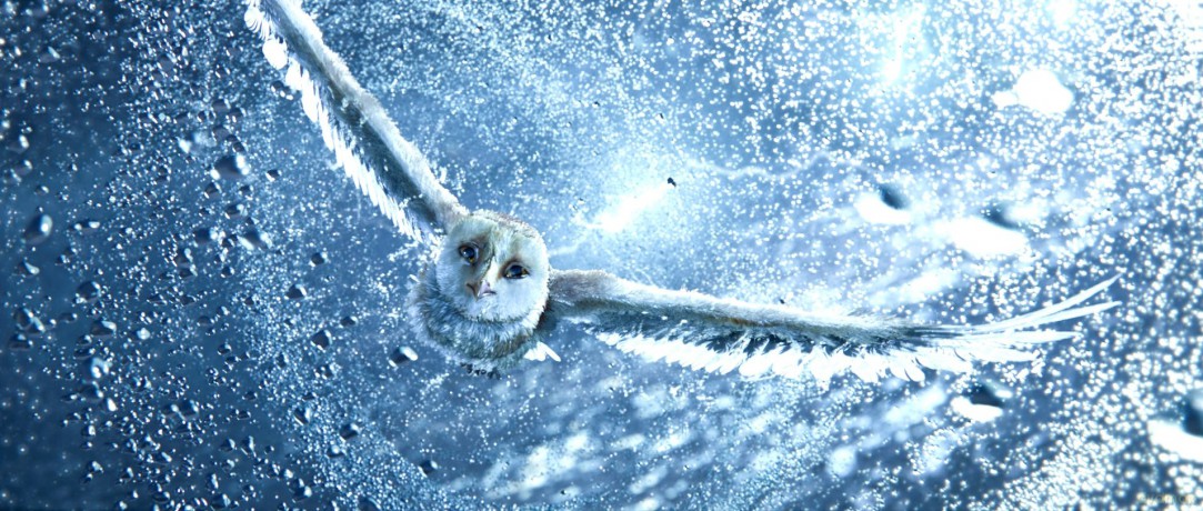Legend Of The Guardians: The Owls Of Ga'hoole [DVD]