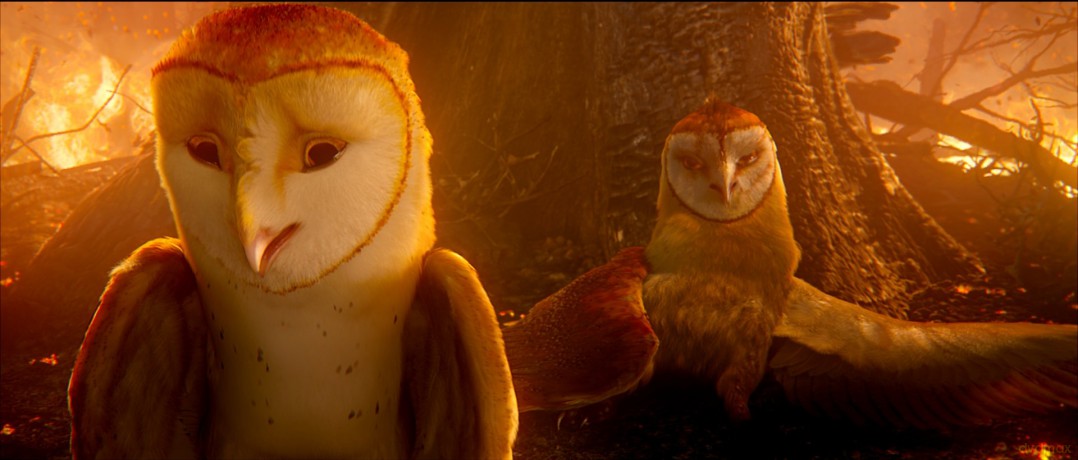 Legend Of The Guardians: The Owls Of Ga'hoole [DVD]