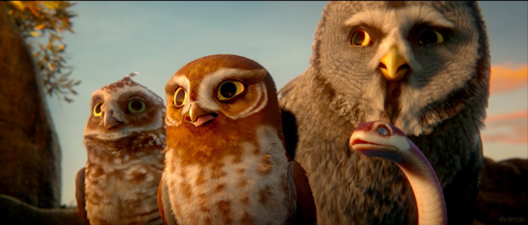 Legend Of The Guardians: The Owls Of Ga'hoole [DVD]