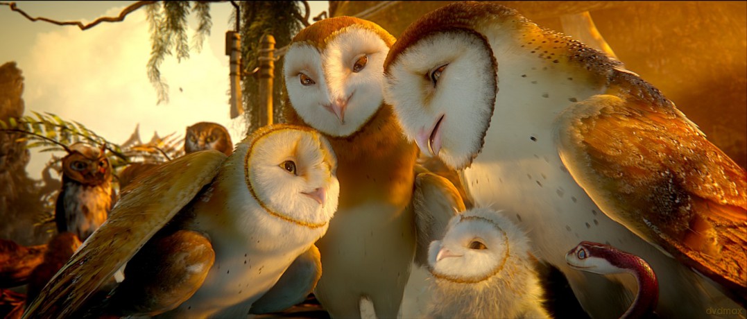 Legend Of The Guardians: The Owls Of Ga'hoole [DVD]