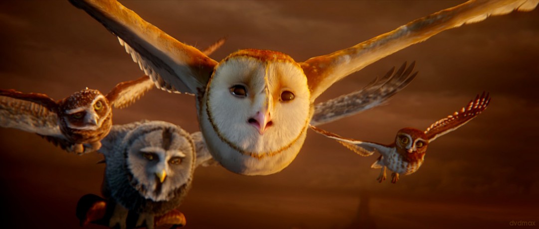 Legend Of The Guardians: The Owls Of Ga'hoole [DVD]
