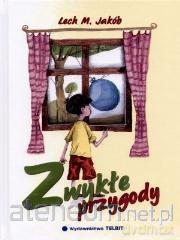 Zwykłe przygody [KSIĄŻKA]