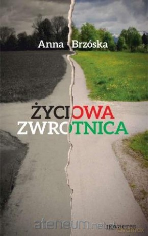 Życiowa zwrotnica [KSIĄŻKA]