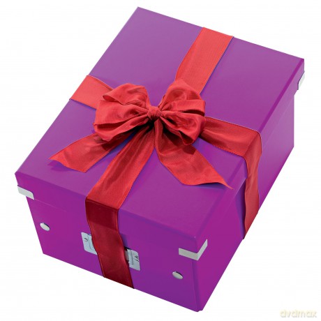 LEITZ Ablagebox A5 violett-Met