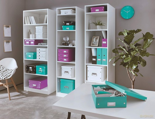 LEITZ Briefablage WOW Duo Colour perlwei