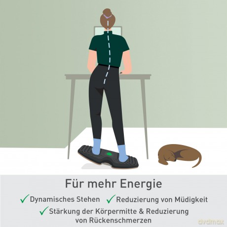 Leitz: LEITZ Ergo Active Balance-Board dunkelgr