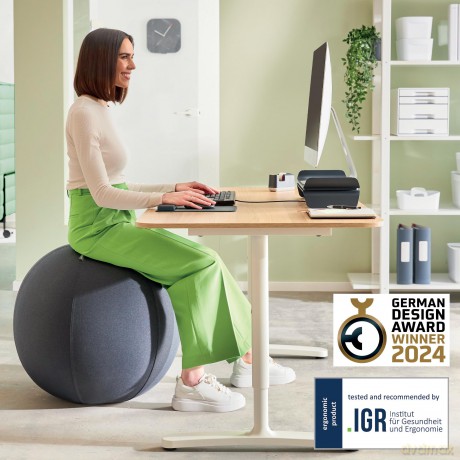 Leitz: LEITZ Ergo Active Sitzball dunkelgrau 65