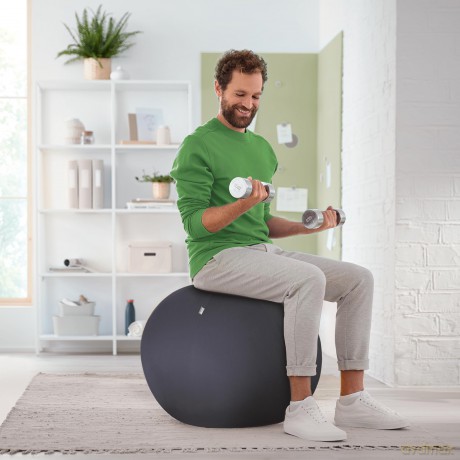 Leitz: LEITZ Ergo Active Sitzball dunkelgrau 75