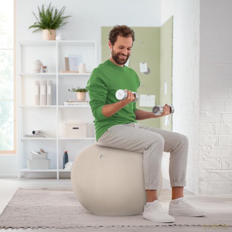 Leitz: LEITZ Ergo Active Sitzball hellgrau 75,0