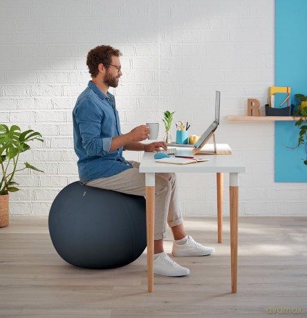 LEITZ Ergo Cosy Sitzball grau 65,0 cm