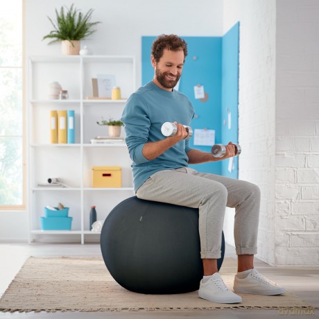 LEITZ Ergo Cosy Sitzball grau 65,0 cm
