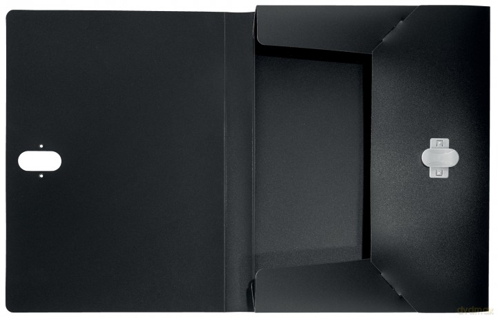 Leitz: LEITZ Heftbox Recycle 4,0 cm schwarz